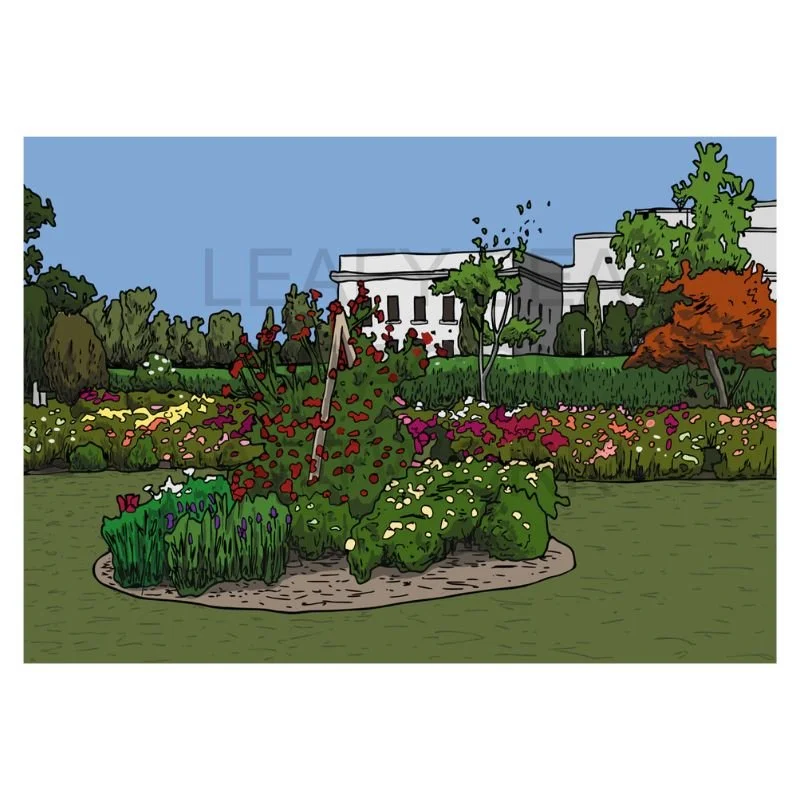 The Rose Garden