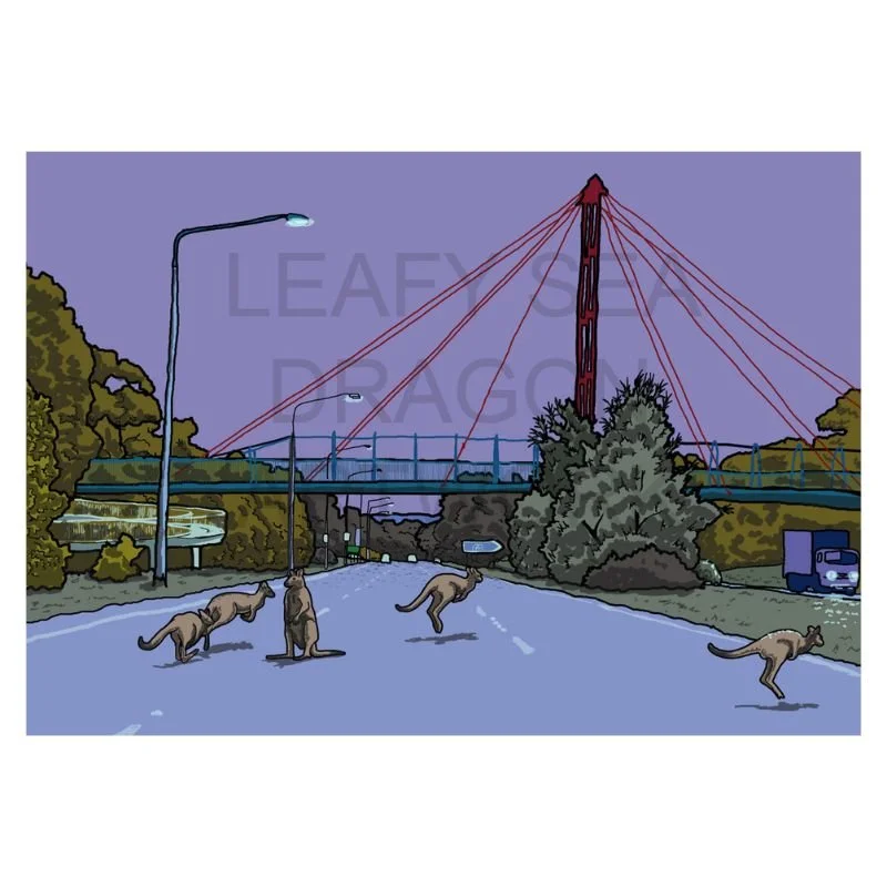 Roos over Belconnen Way