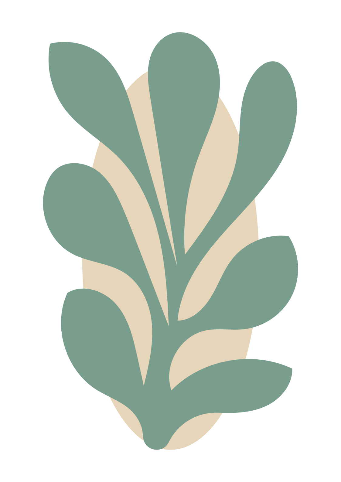 Illustration of a leafy green and beige plant on a black background.