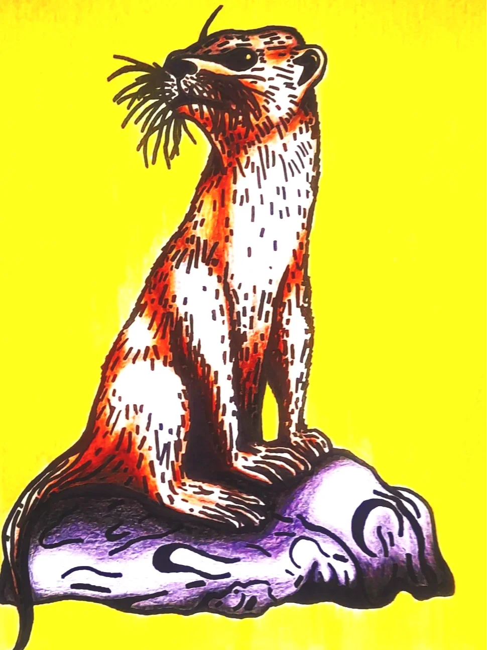 Otter (Colouring Pencil and Marker Pen)