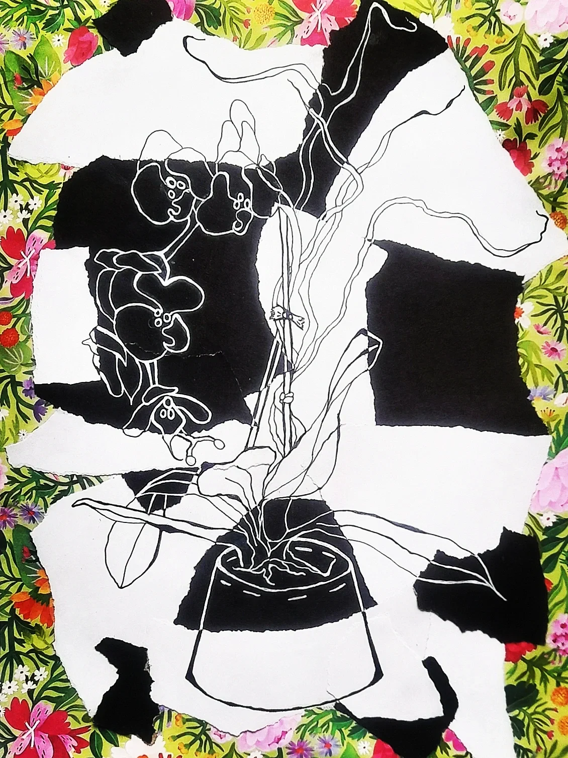 Orchid (Black and White pen)