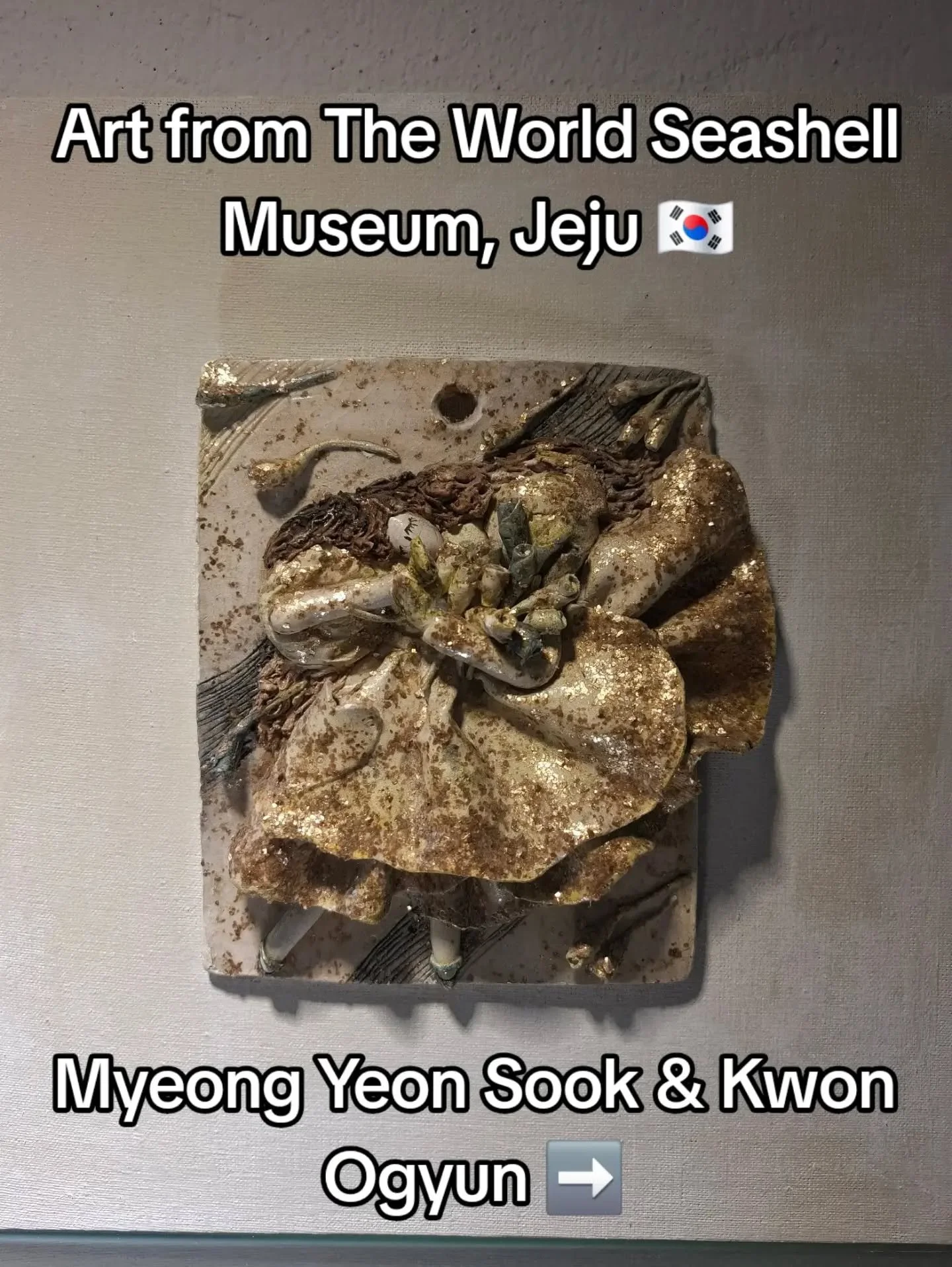 I went to The World Seashell Museum in Jeju where art is created from seashells collected from all over the world 🐚.

I like Janthia exigua the best out of these because it has a cool colour and shape.

Alice 💙

#seashell #jejuisland #art #korea #g