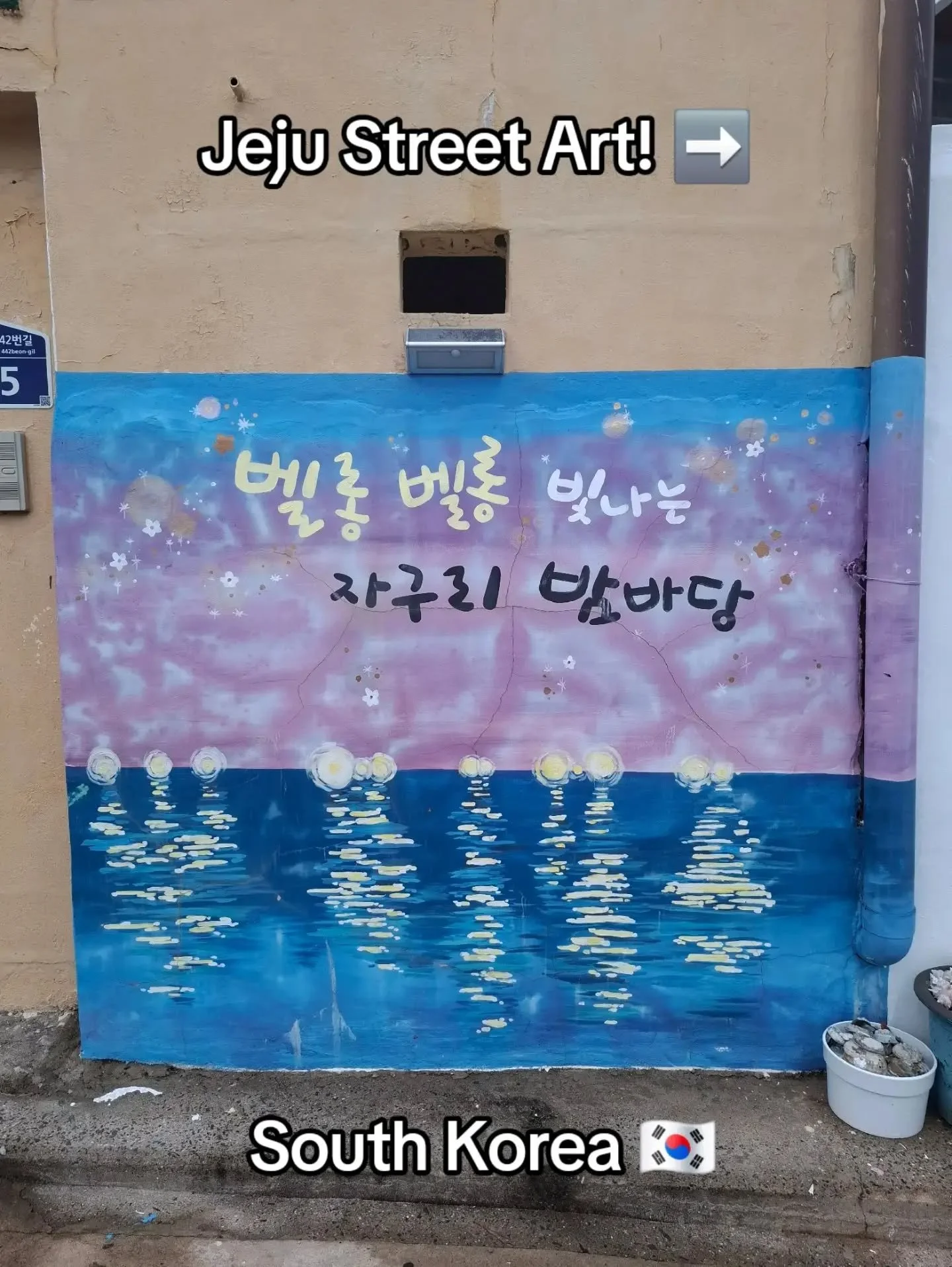 Some very groovy street art I spotted on my wonderings around Jeju!

I like the dolphins the best because they are shiny! ✨️

Alice 💙

#jeju #streetart #korea #travel #southkorea