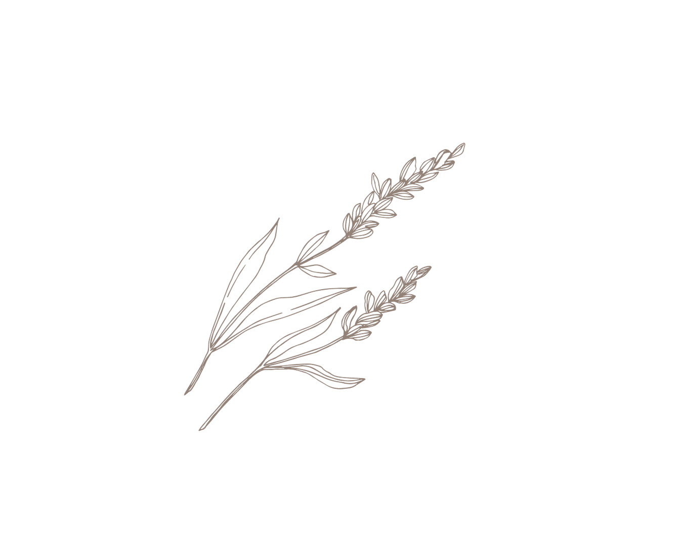 Minimalist line drawing of two wheat stalks with leaves for a Bend Oregon, Real Estate Agency Website design.