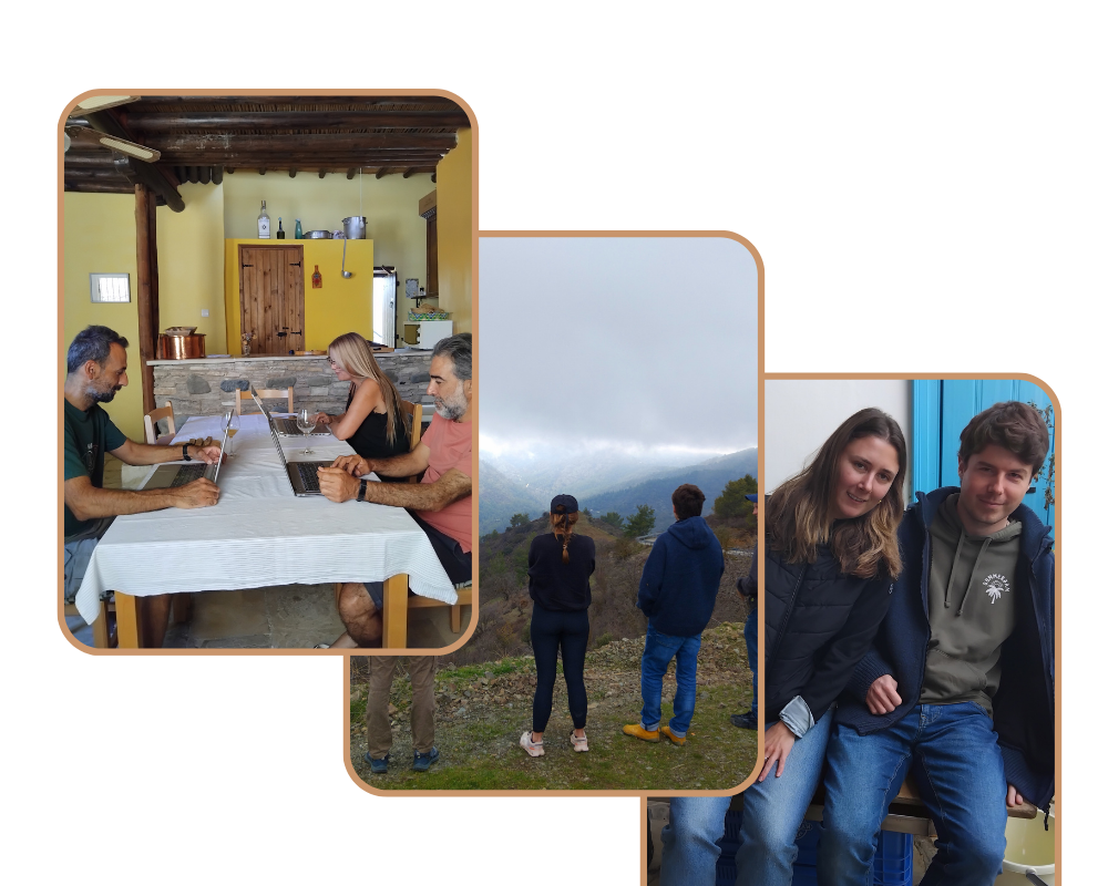 Coliving guests working and having fun