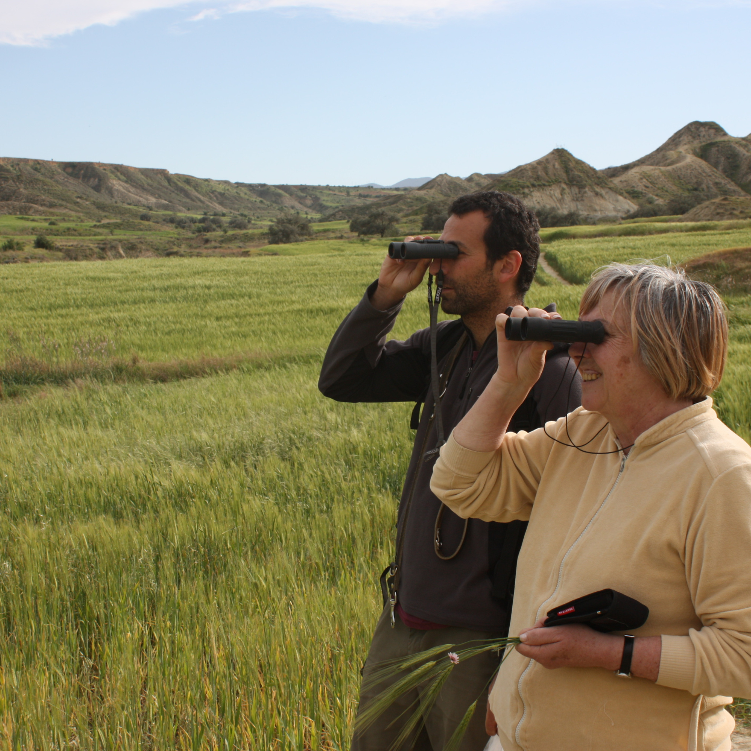 Two people birdwatching with binoculars in a field