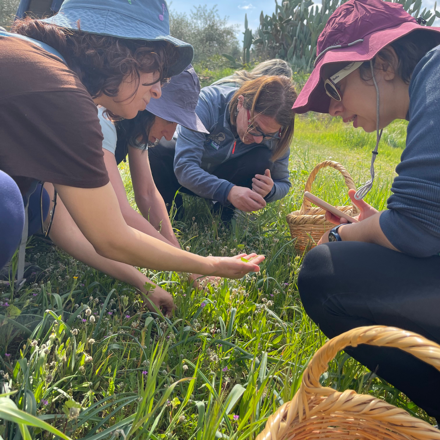 Women collecting wild plants