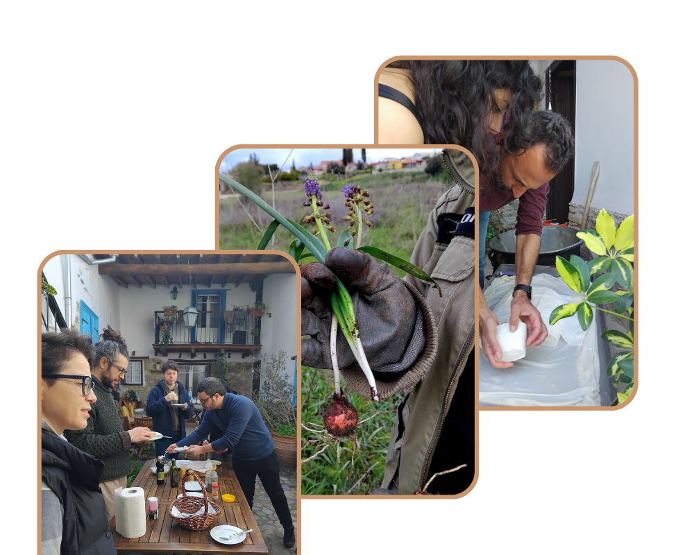 Agrotourism guests doing activities at Aperanti