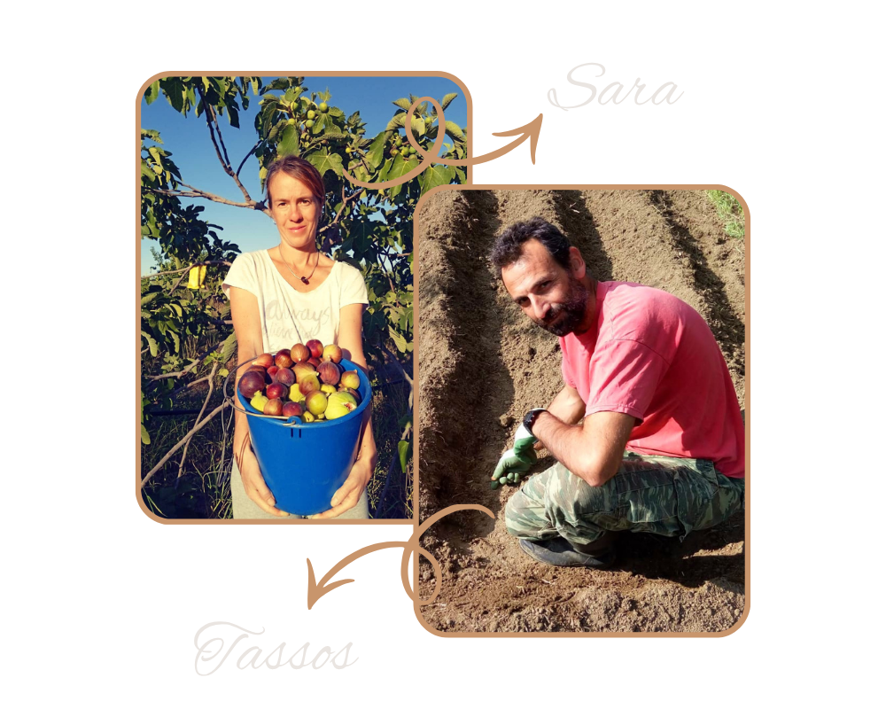 Designed image of Sara and Tassos the founders of Aperanti