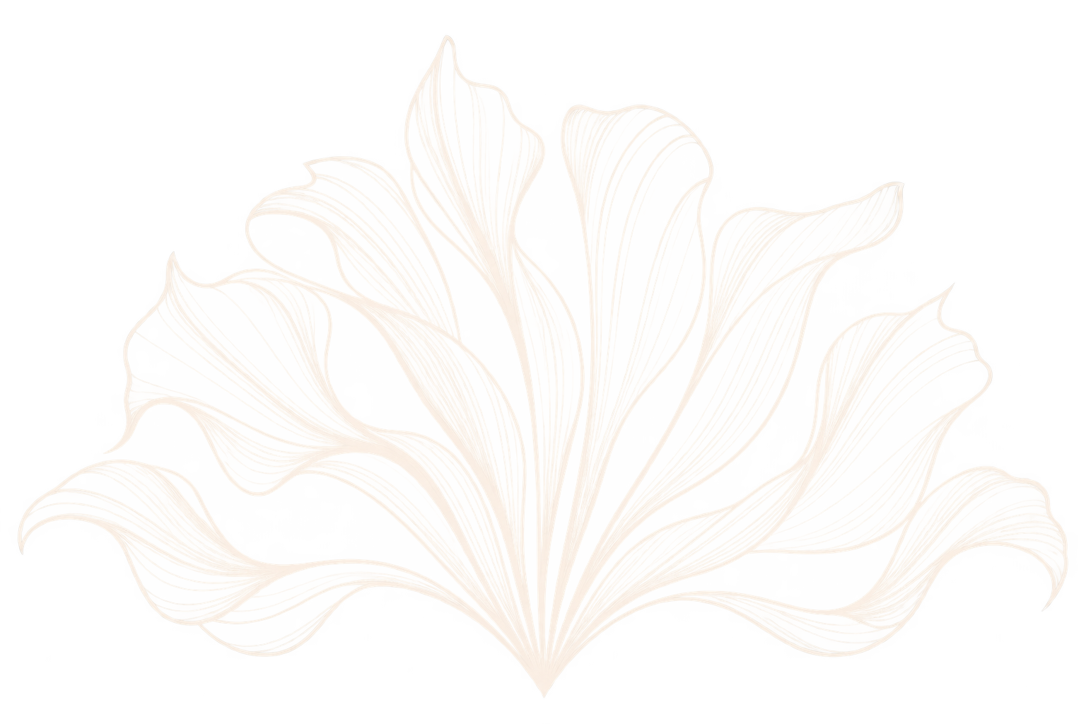 A white flower with large, ruffled petals.