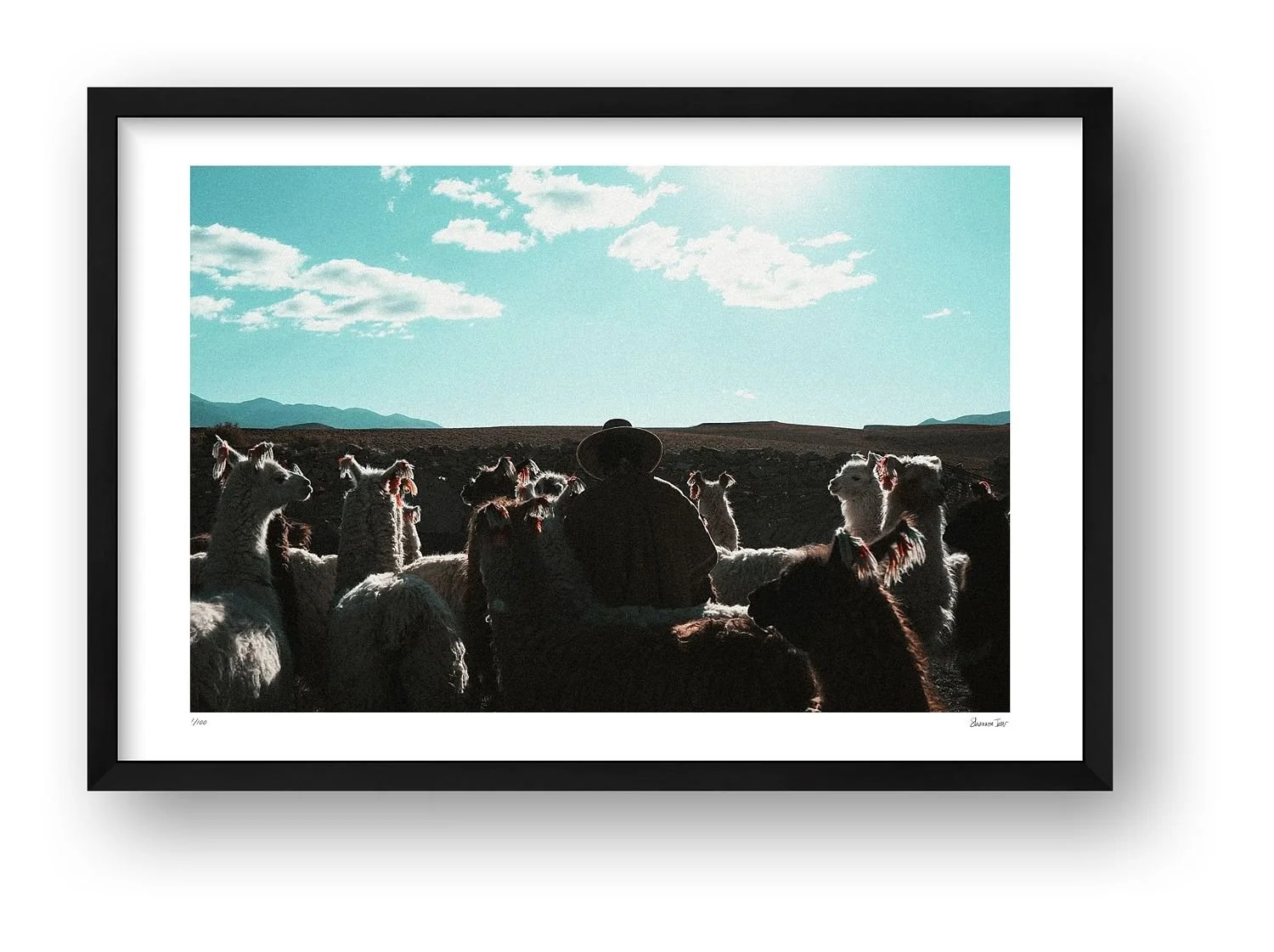 preview_ffca0eac_a9c5854f.jpg