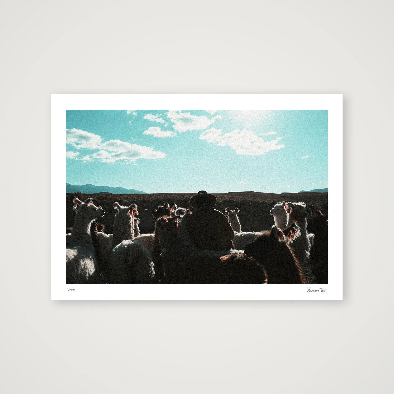 shot_table_6a416d34_51a5aa1e.jpg
