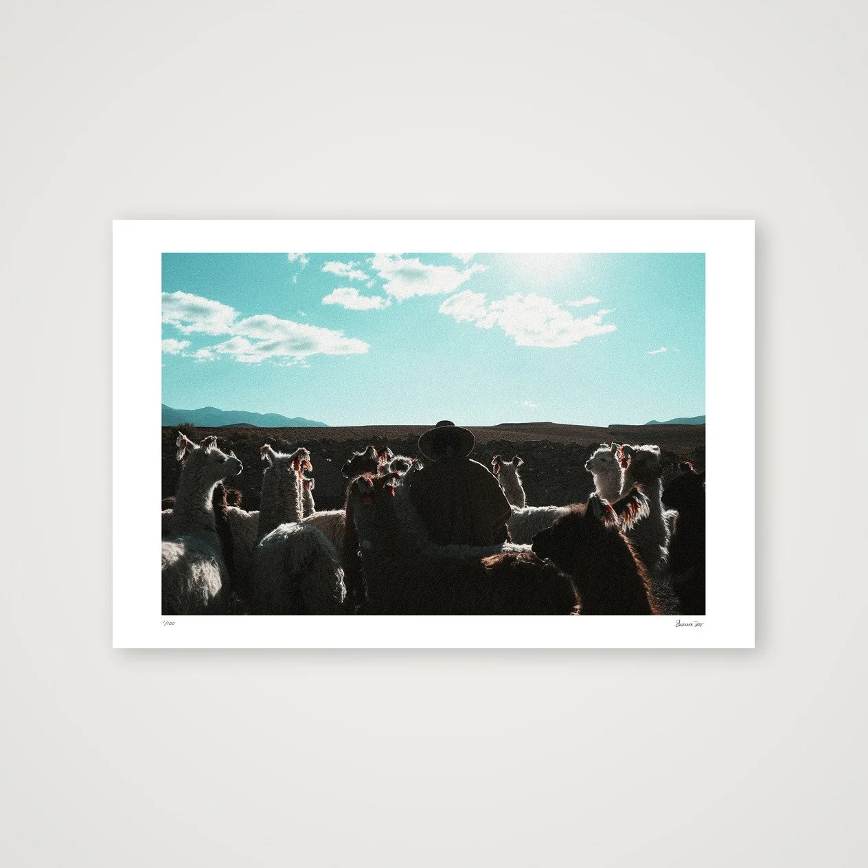 shot_table_1a9d45d8_4c5bb6cc.jpg