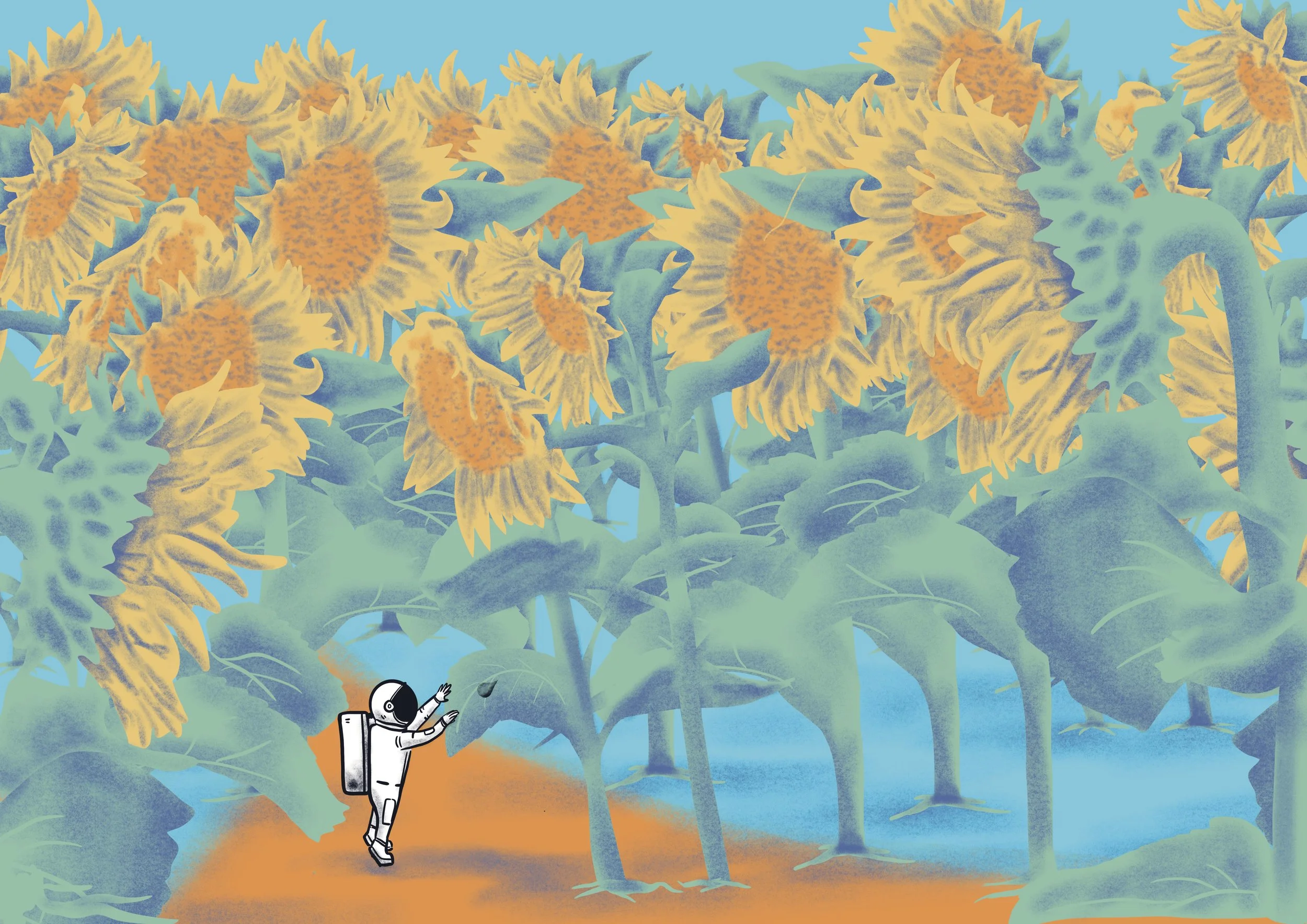 Tournesol.jpg