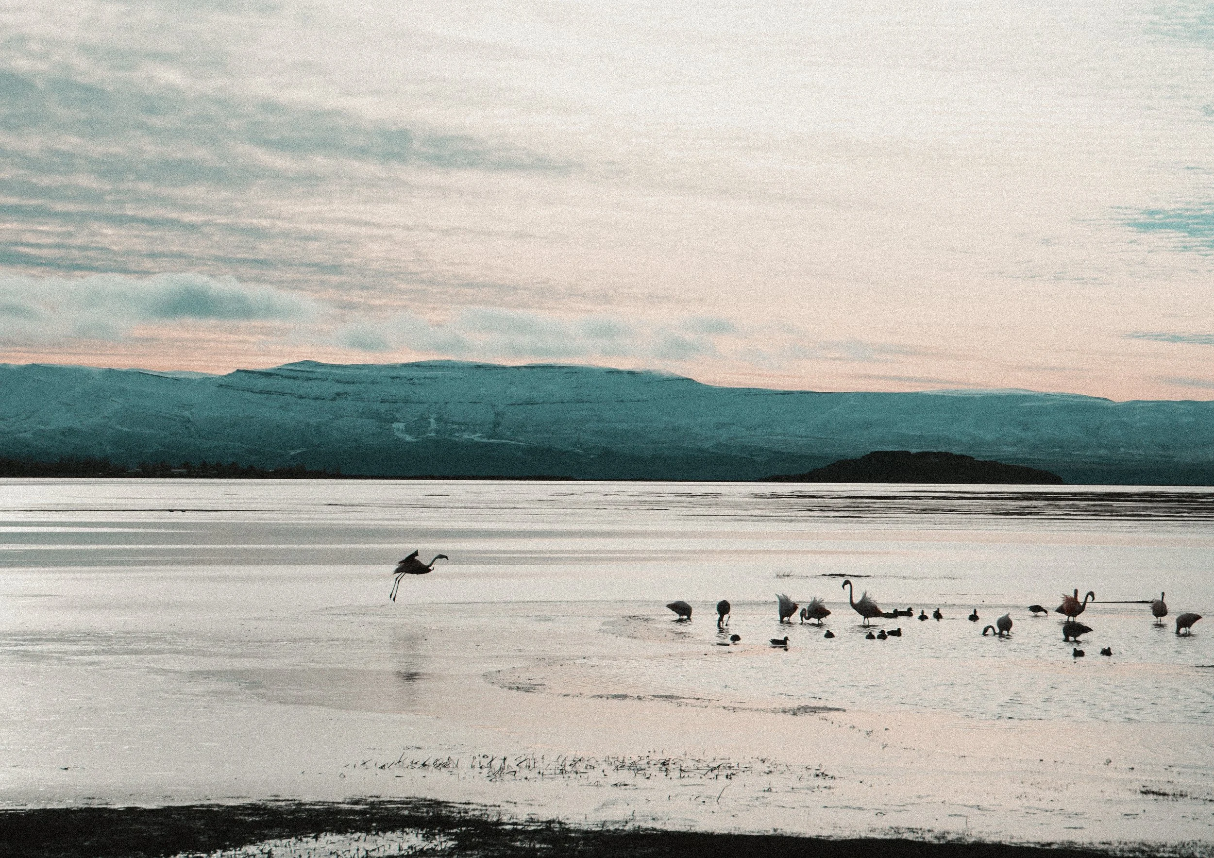 Ballet sur le lac