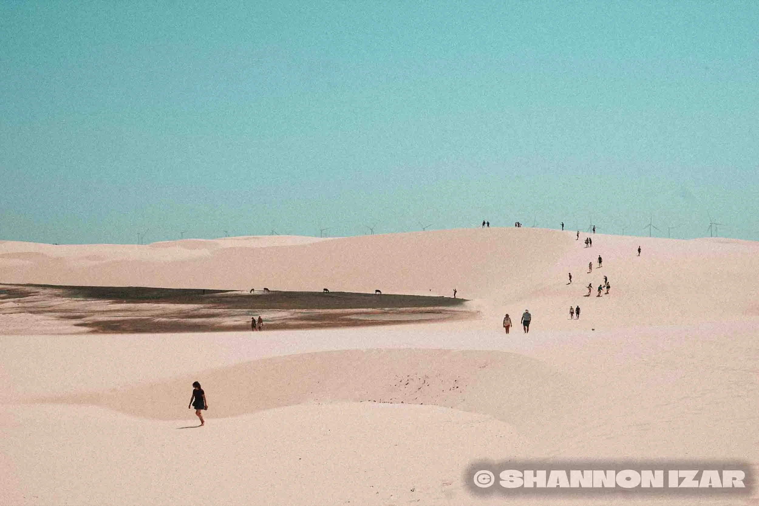 Des dunes de sable avec plusieurs personnes qui marchent ou se tiennent debout, sous un ciel bleu clair.