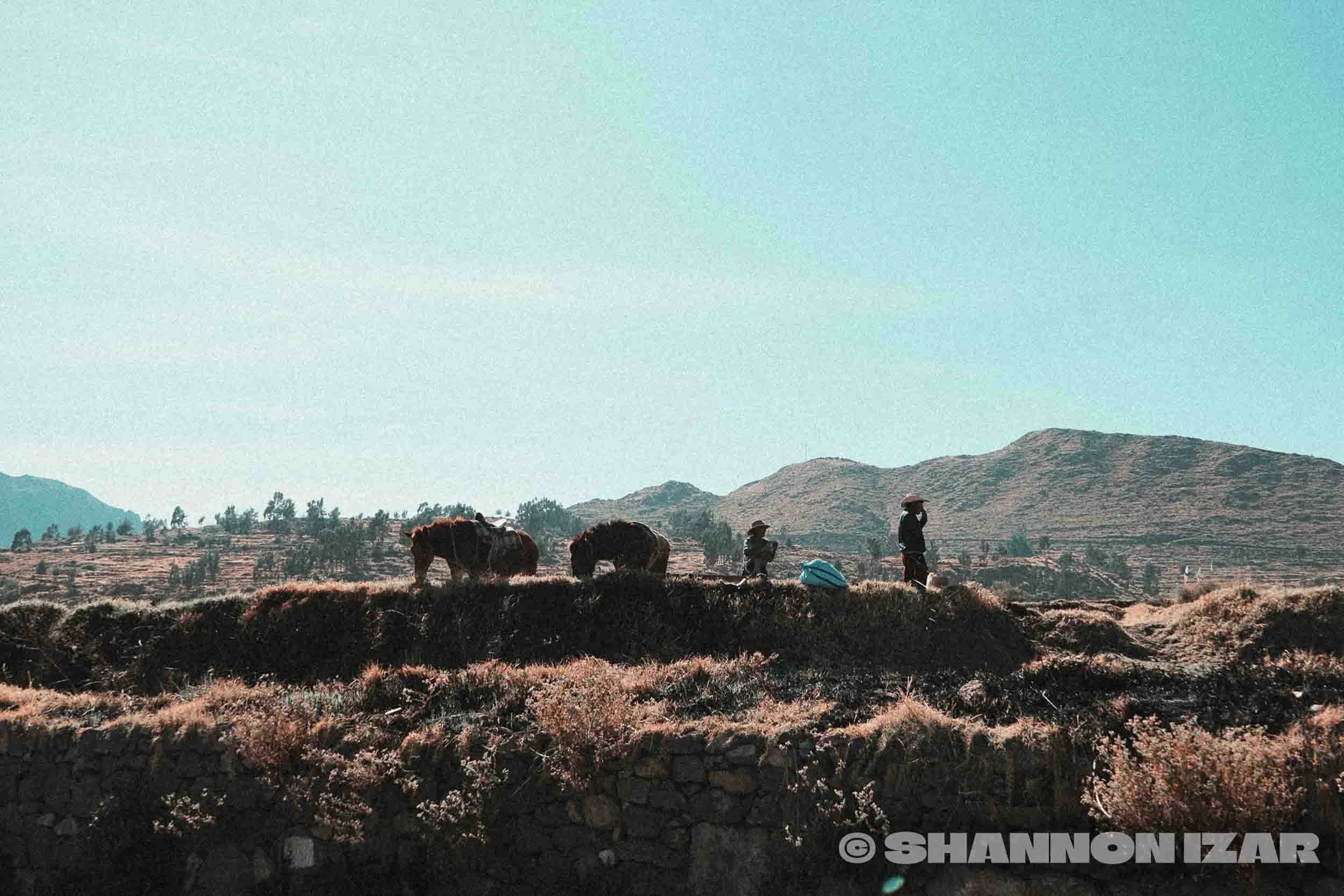 Paysage rural avec montagnes, champs et trois personnes avec des chevaux ou bœufs