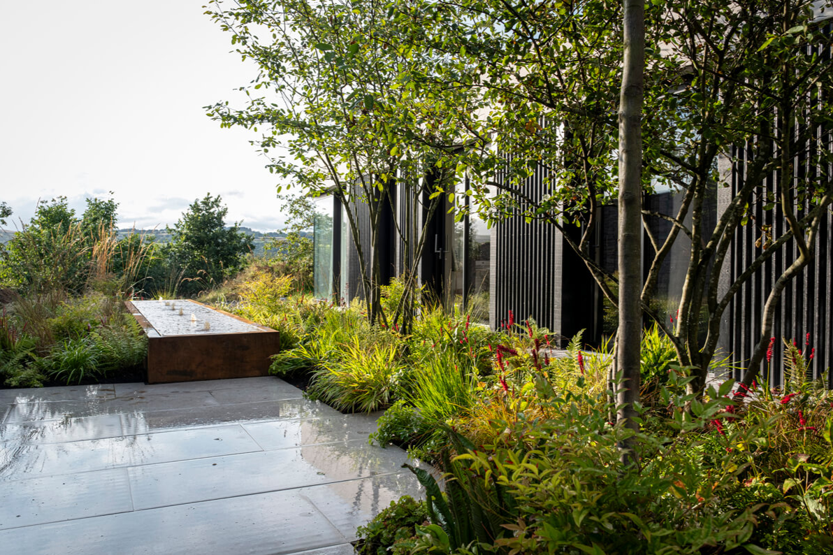 Modern outdoor garden with lush green plants, trees, and a rain-soaked concrete pathway, adjacent to a contemporary building with black vertical siding.