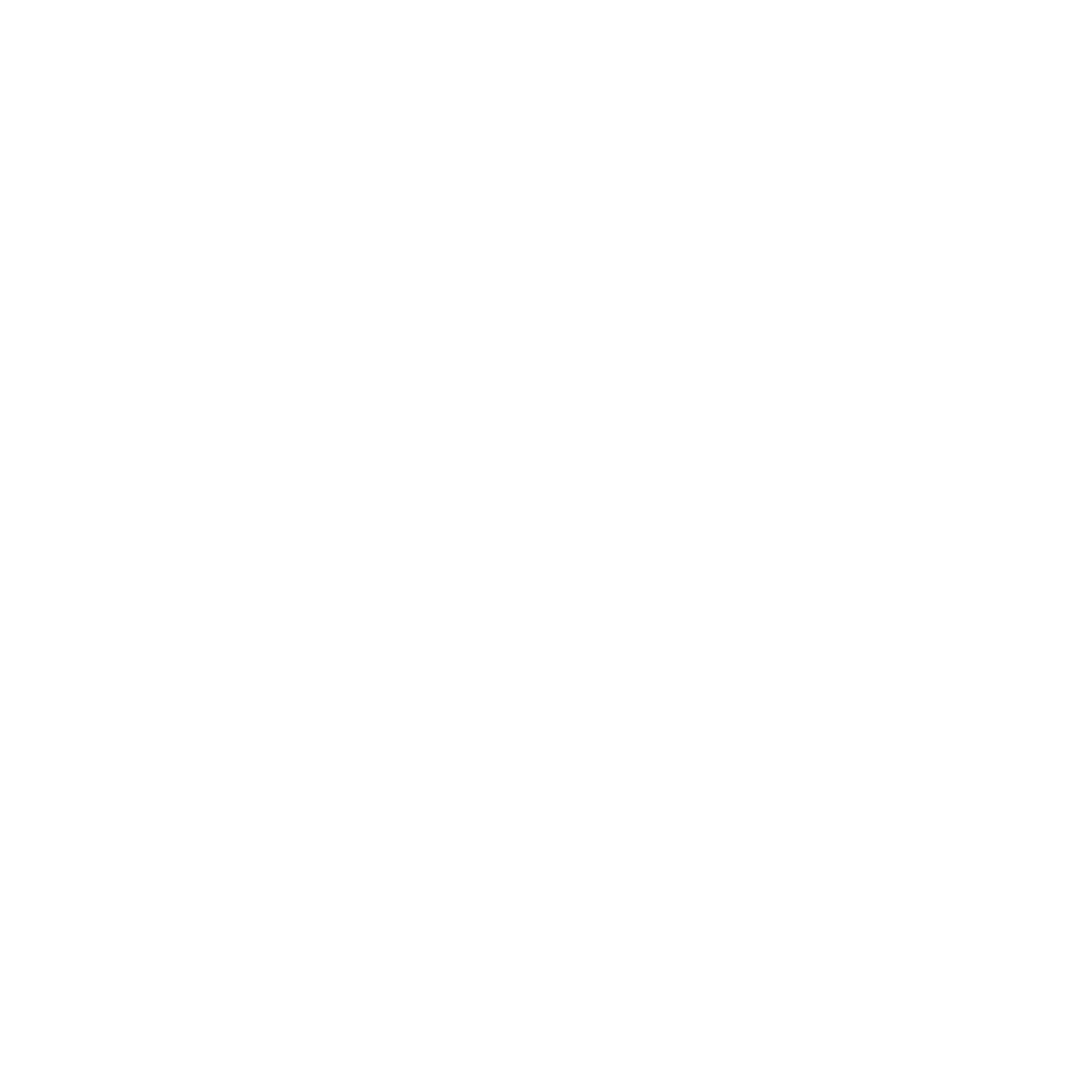 SPR Client Logo_DSO.png