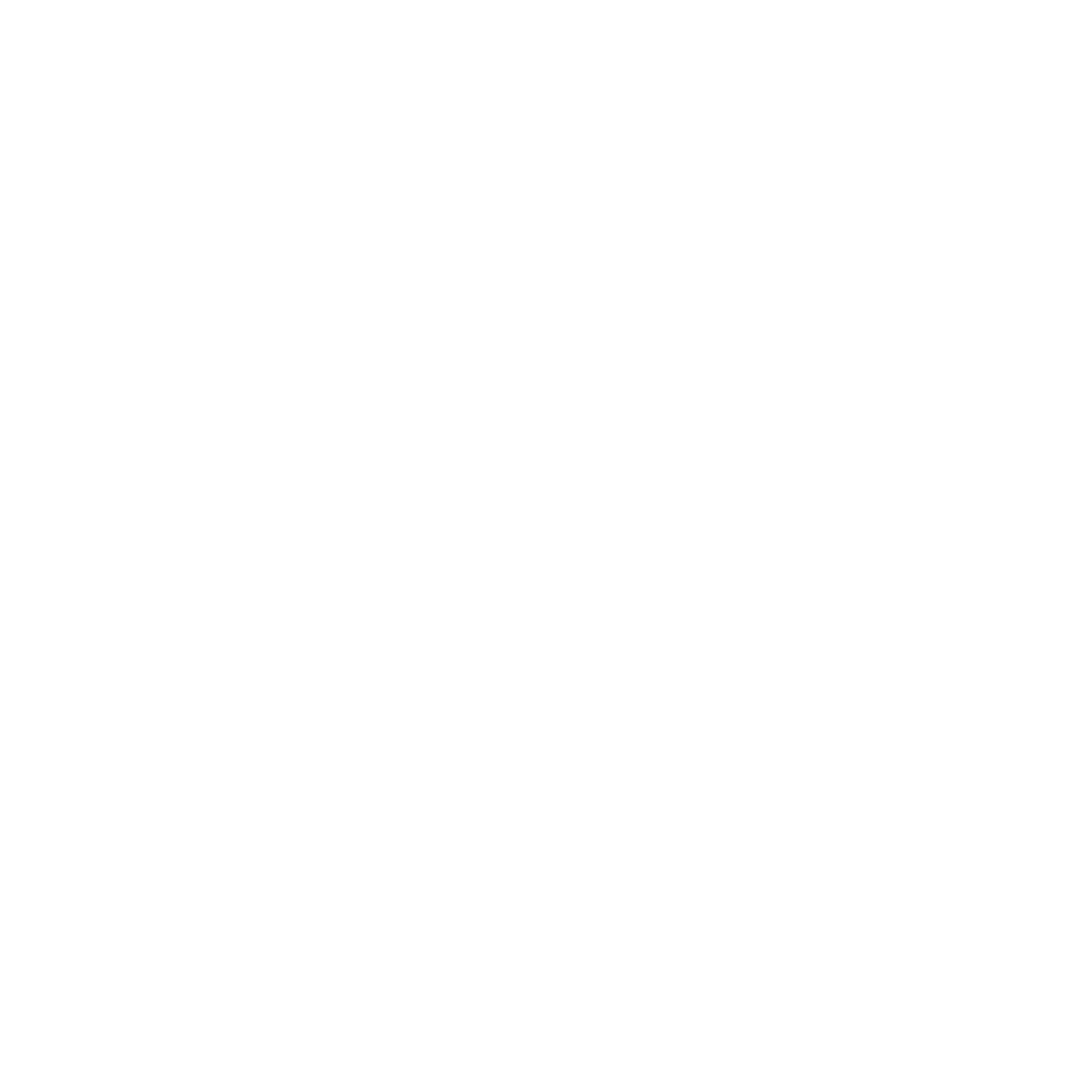 SPR Media Logos_Dallas Morning News.png