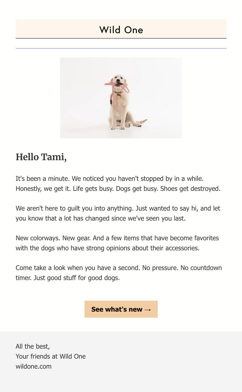 Email saying its been awhile. New colorways and gear are available. Come take a look CTA. Picture of dog holding leash in its mouth.