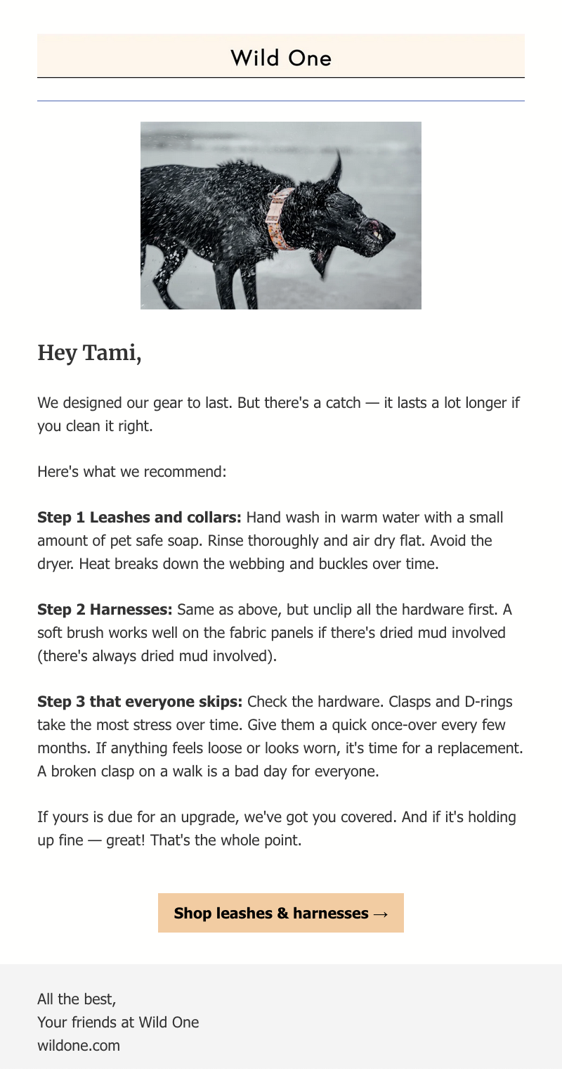 Email with three steps to clean leashes and harnesses. Picture of wet dog wearing a collar shaking off.