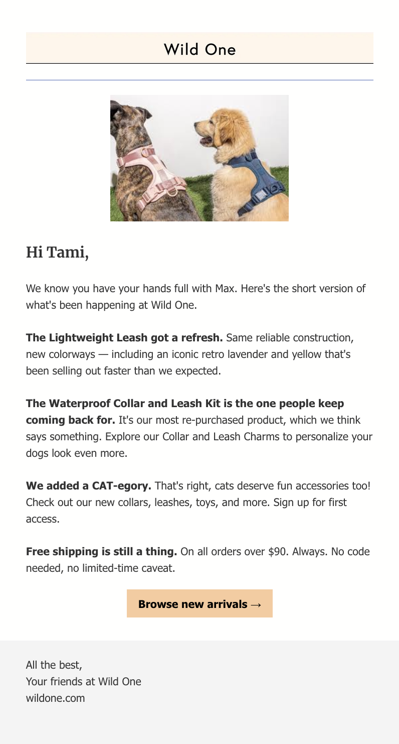 Email stating the lightweight leash got a refresh, the waterproof collection is popular, and Wild One is adding cat accessories. Picture of two dogs in Wild One Harnesses.