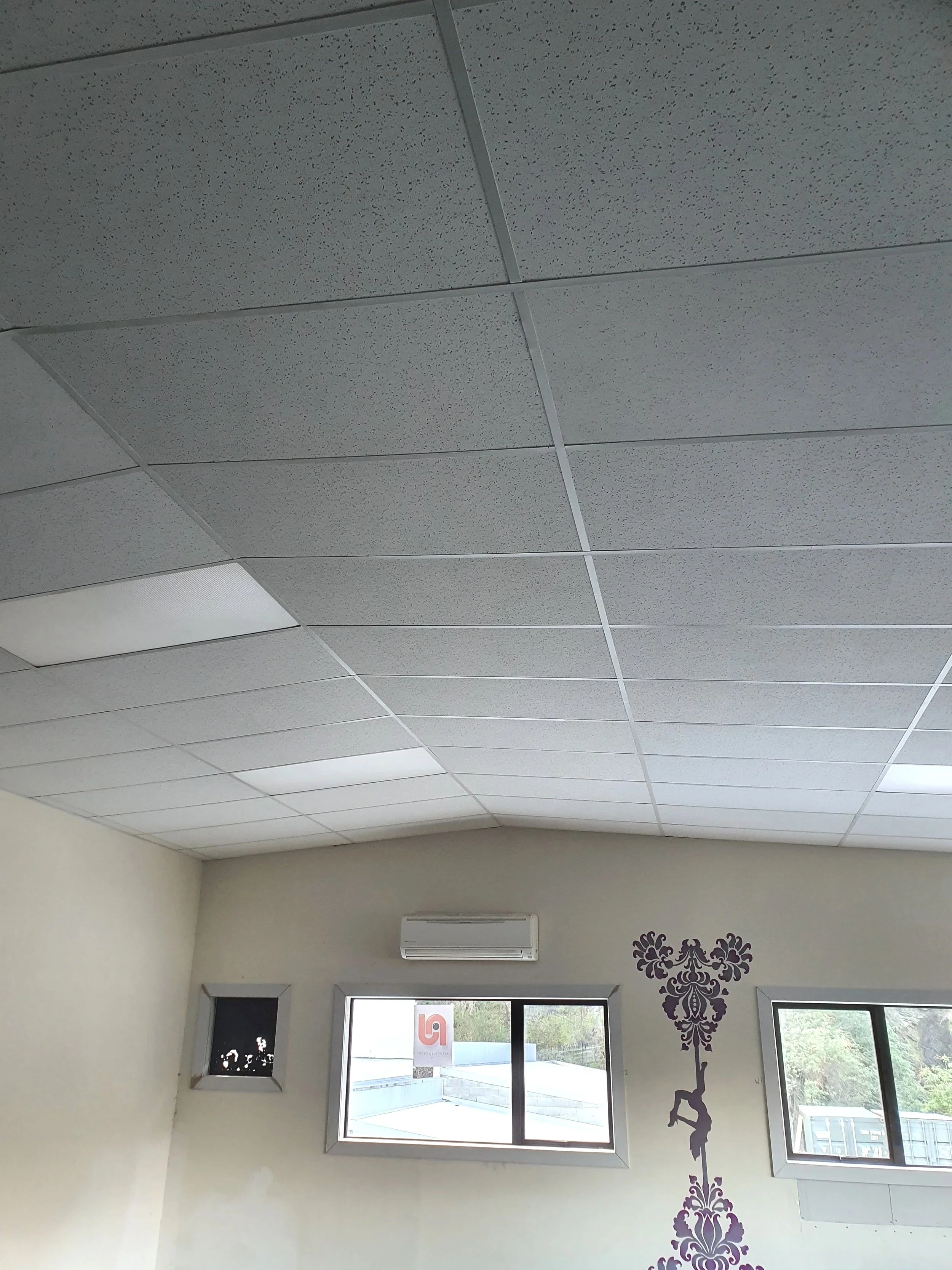 Suspended Ceiling Systems