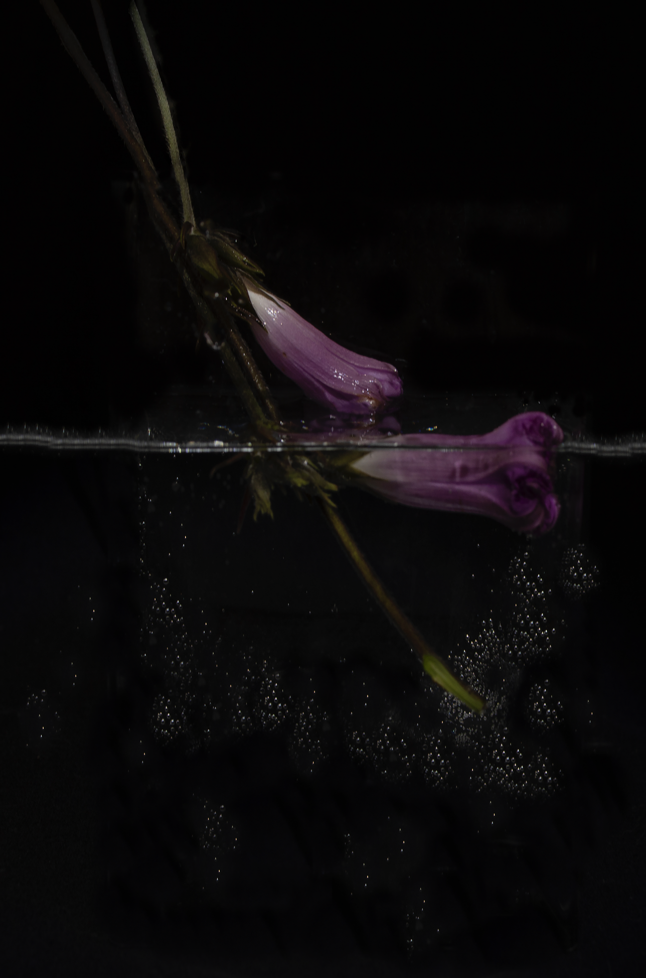 Captura de pantalla 2026-04-20 a las 16.20.24.png