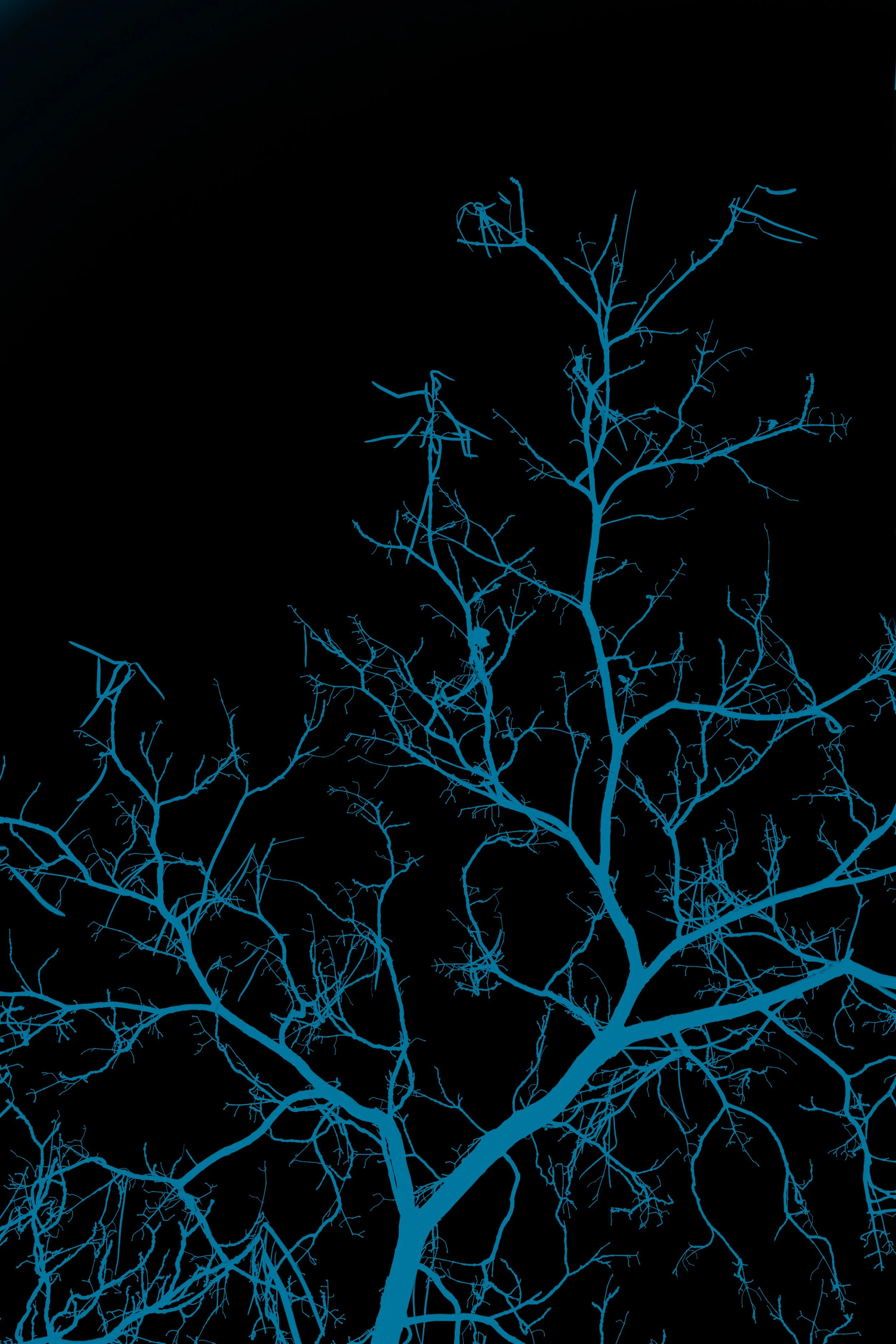 The mind