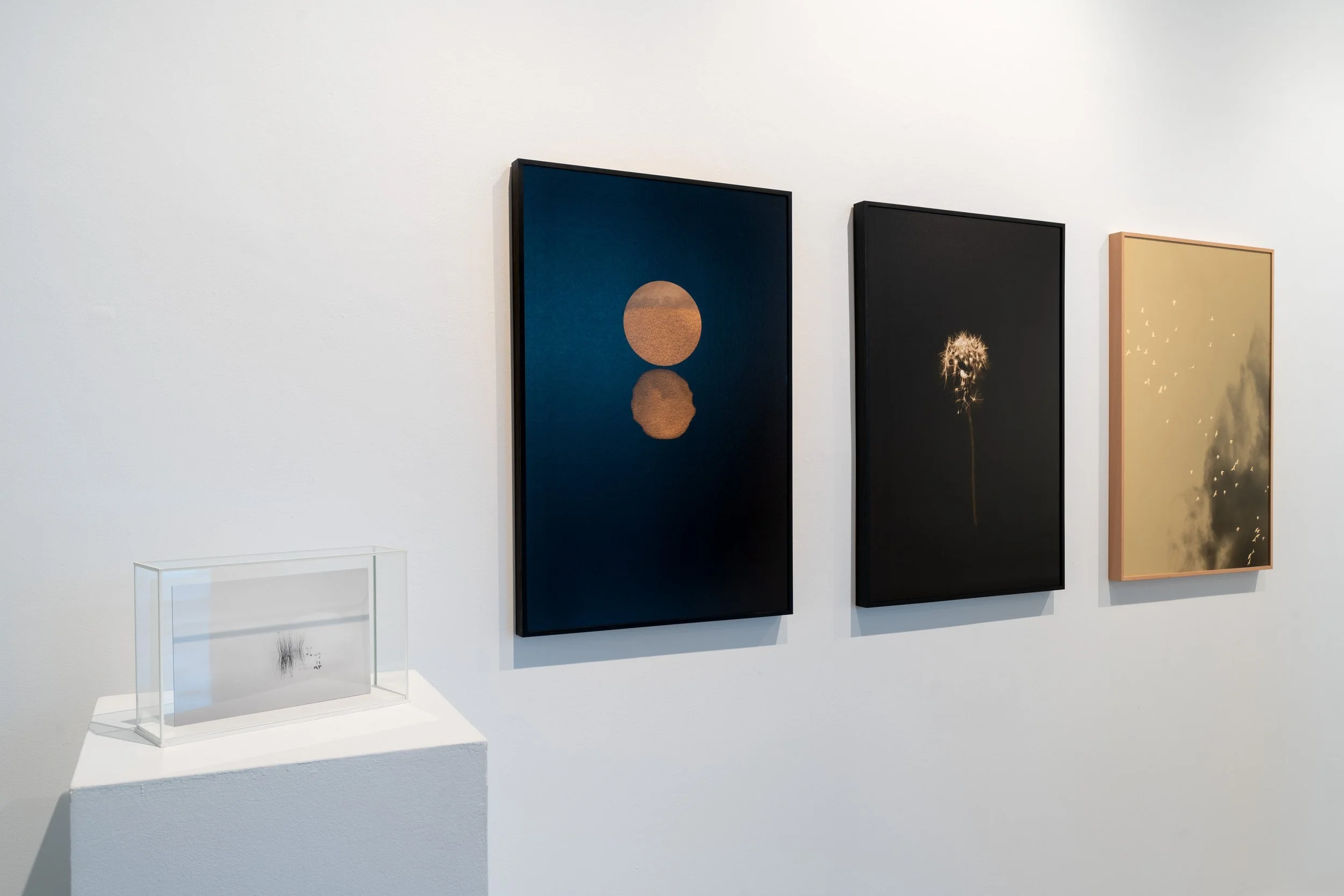 Exposicion_Segunda_Transitos_Master_Photoespaña_Alcobendas_JOR3831.jpg
