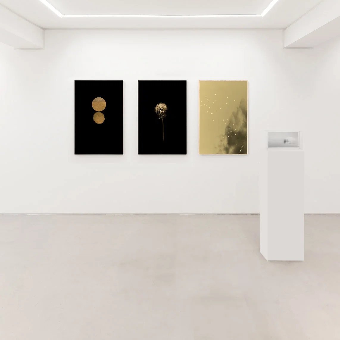 Alcobendas-Amrillo-Ale_expo03.jpg