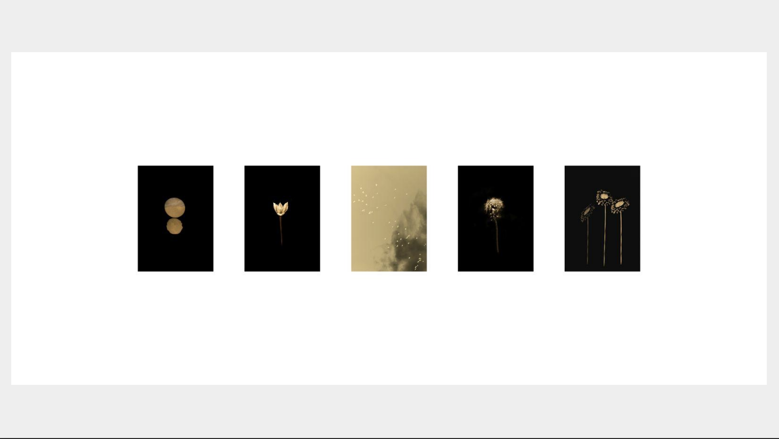 Captura de pantalla 2026-04-20 a las 12.05.47.png