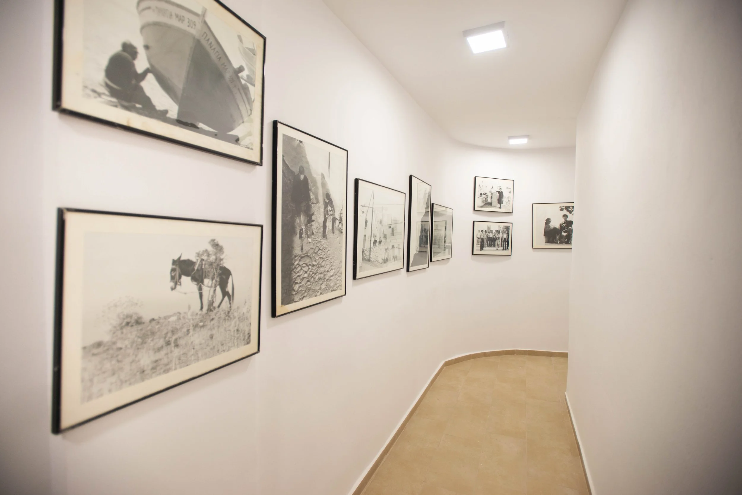 A curved white exhibition wall displaying black and white photographs framed in black inside an art gallery with a light-colored floor and ceiling lights.