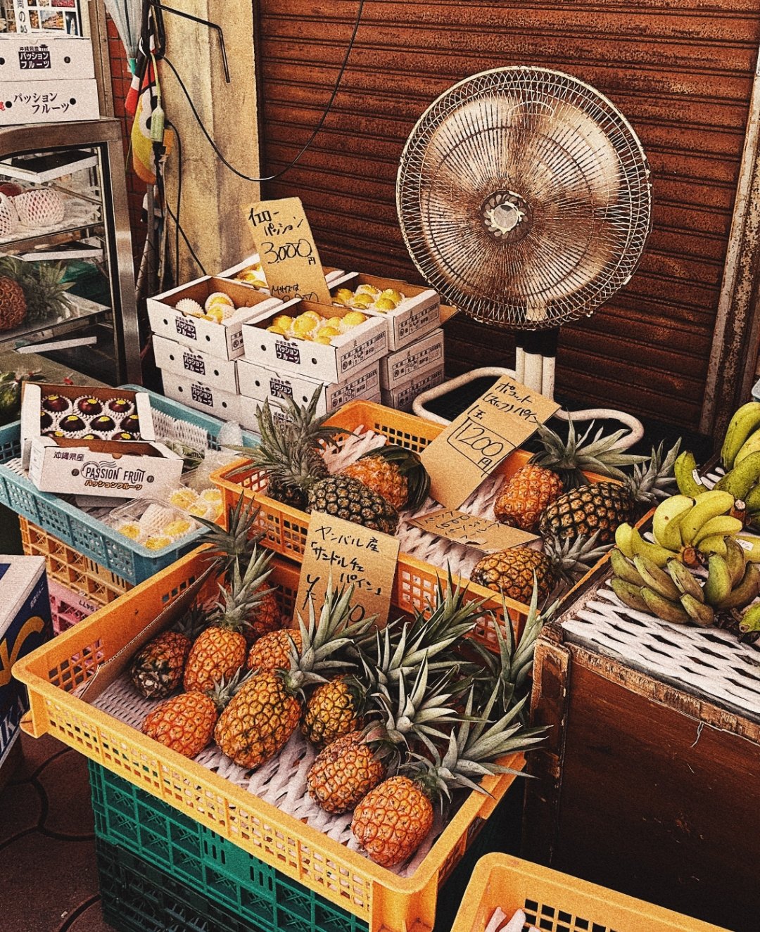 Instagram Post – 9.jpg