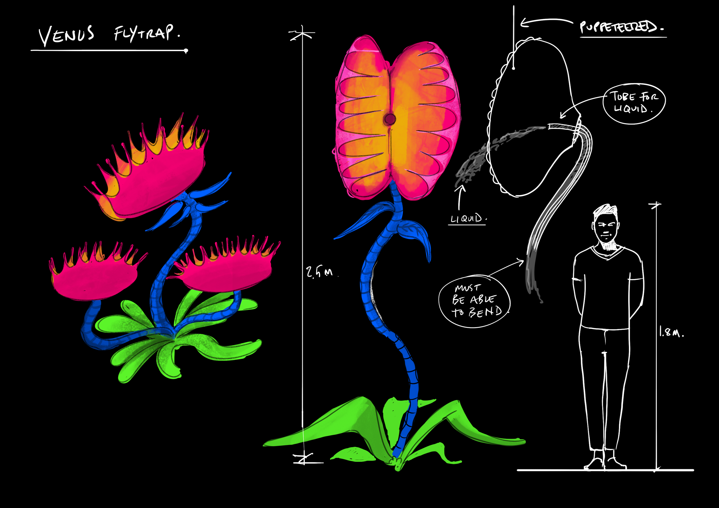 12.flytrap.png