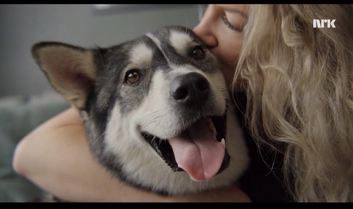 En kvinne klemmer en lykkelig grå og hvit hund, som har åpen munn og viser tunga.