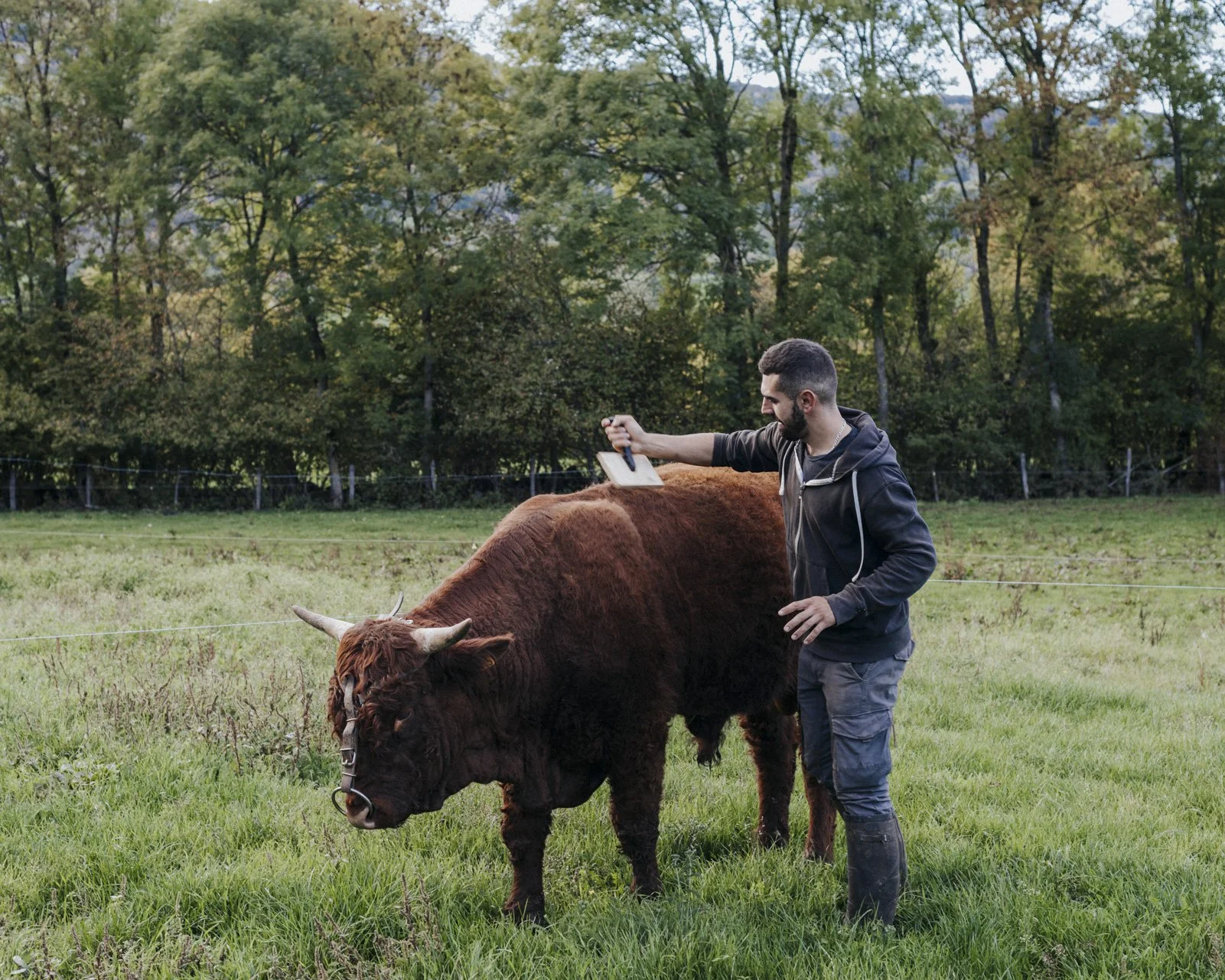 RURAL-021.jpg