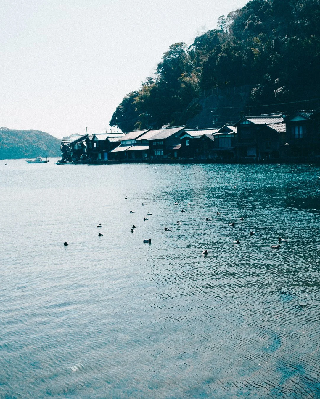 0052_ine-Japan.jpg