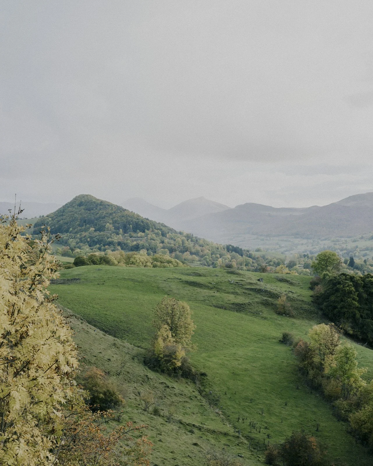RURAL-017.jpg