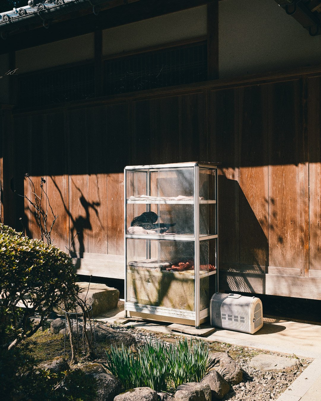 0047_temple-Japan.jpg