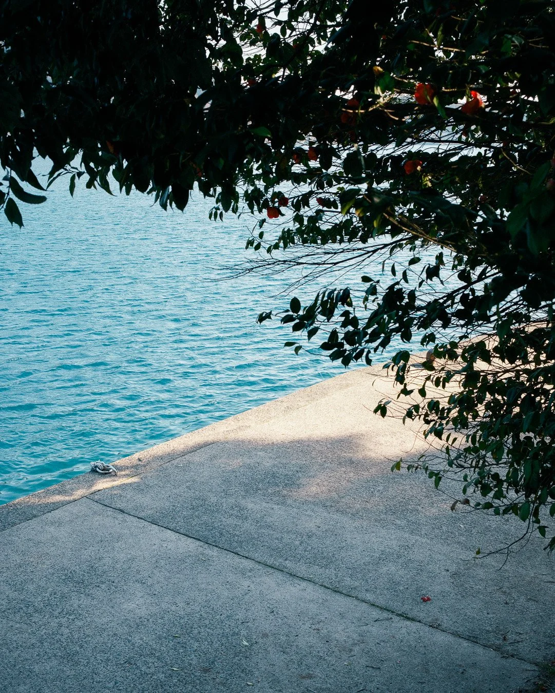 0066_ine-Japan.jpg