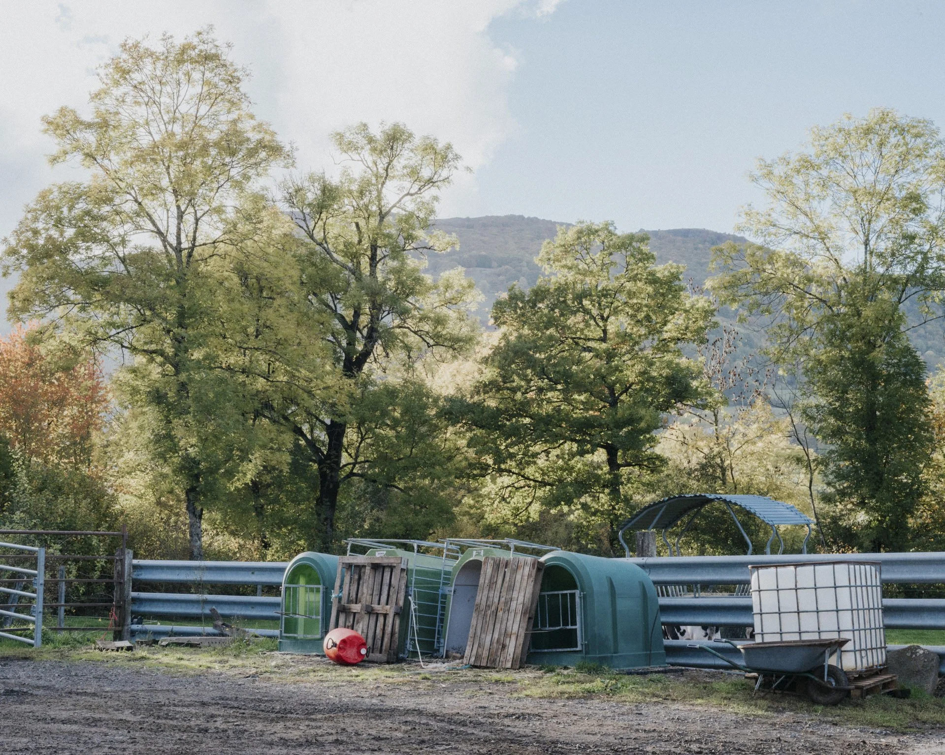 RURAL-009.jpg