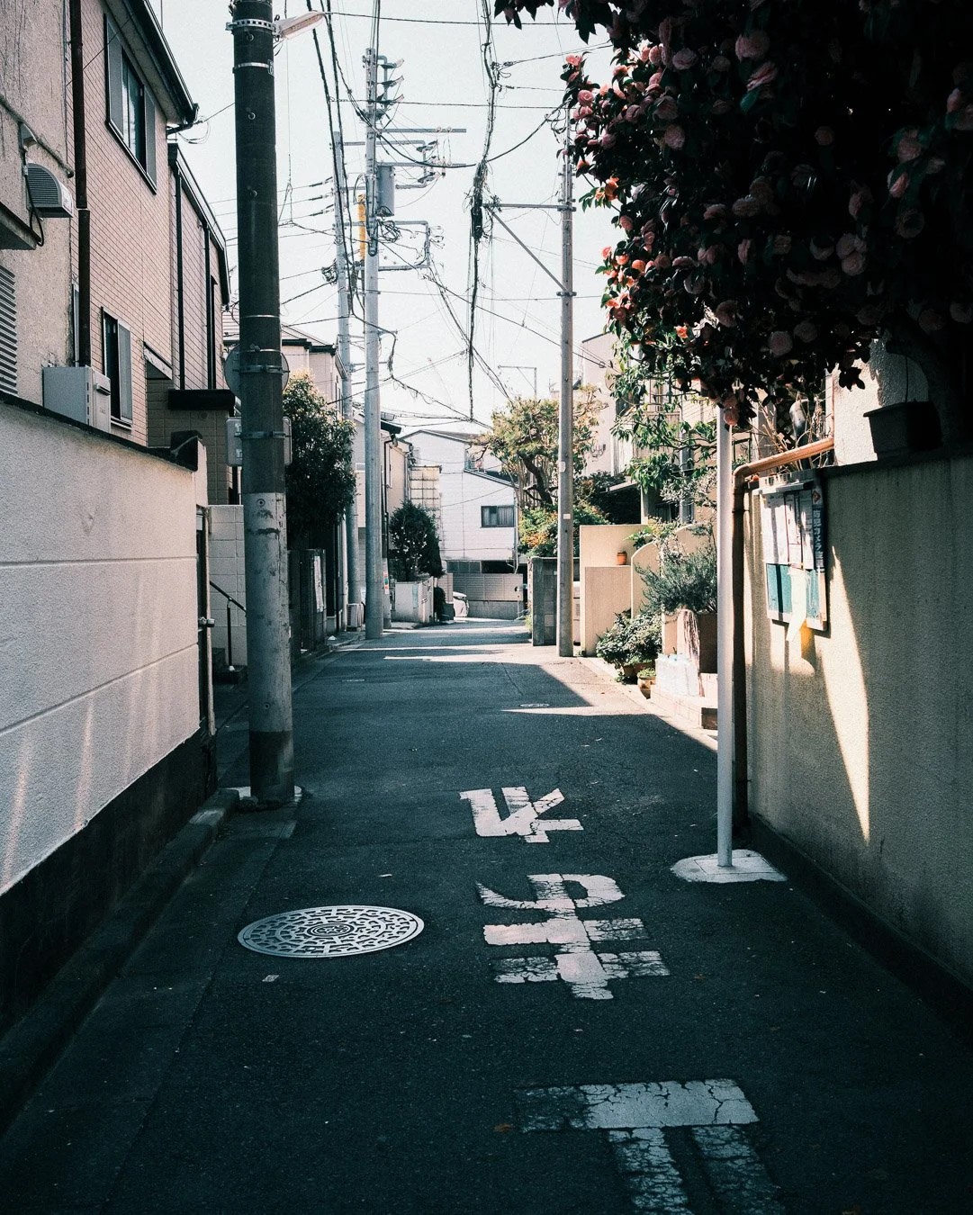 0085_tokyo-Japan.jpg