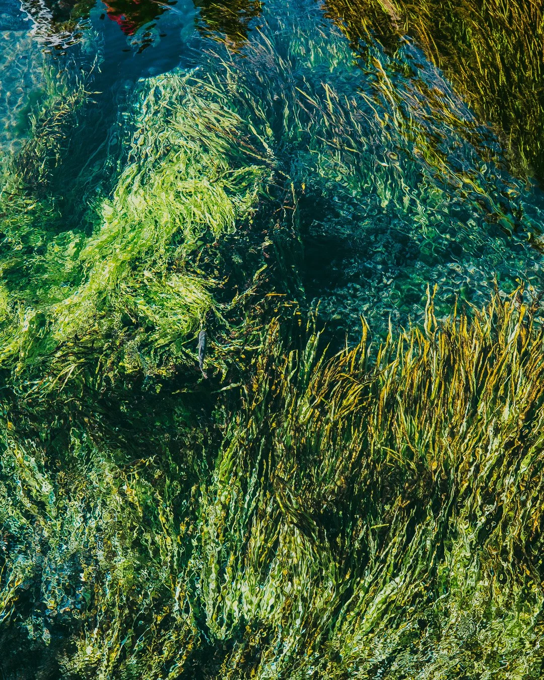 0021_Waterfriends-Japan.jpg