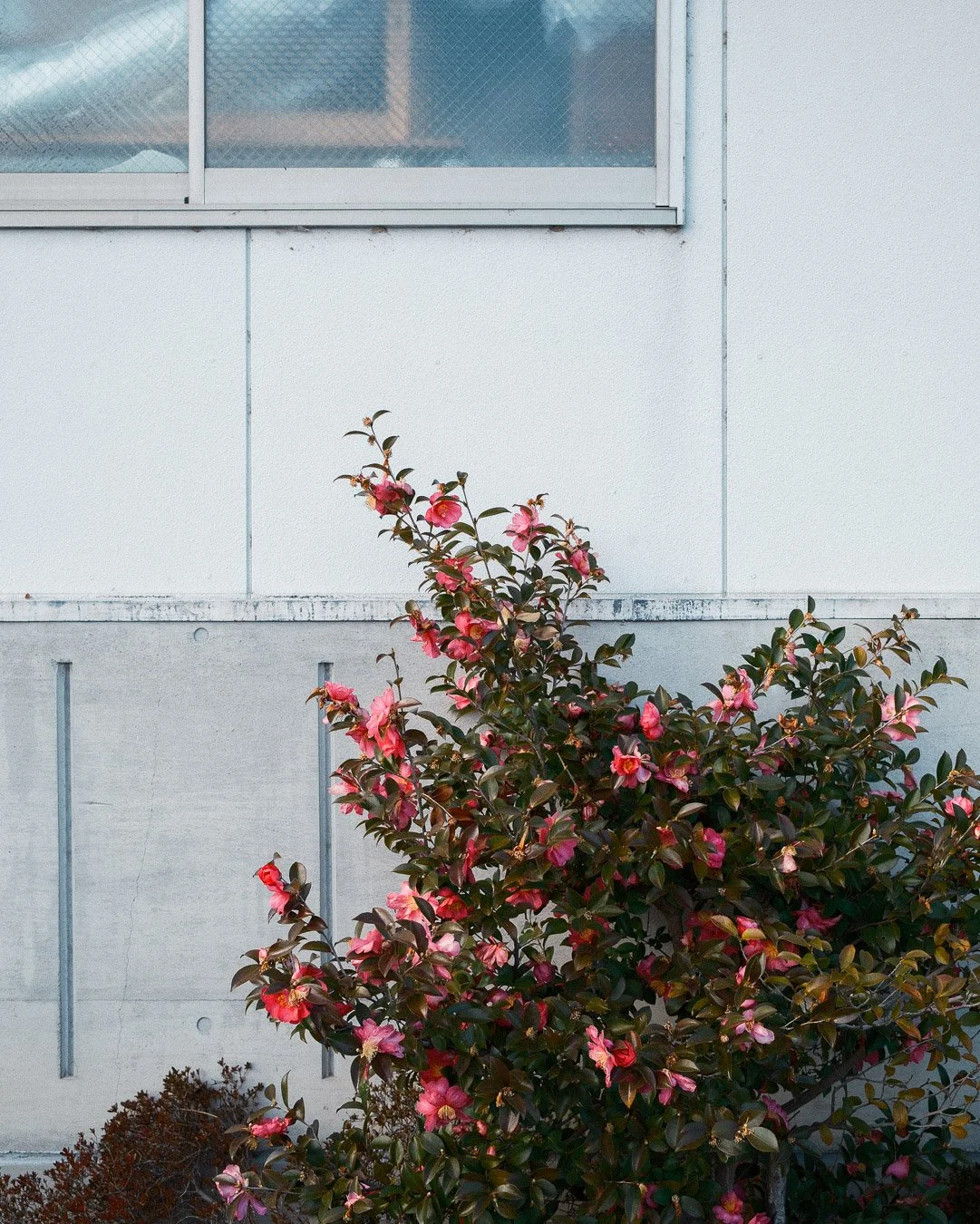0003_Ontheroad-Japan.jpg