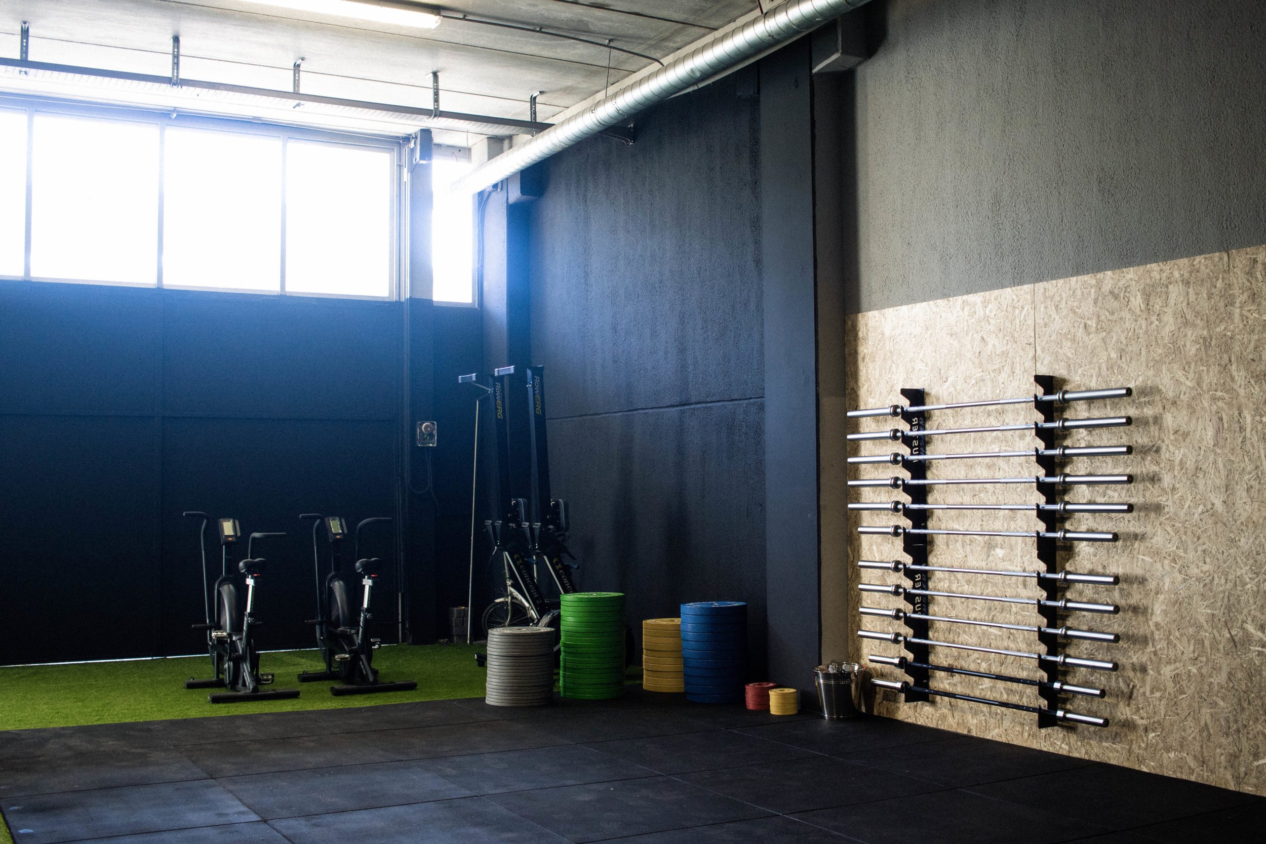 A well-lit gym interior with large windows, exercise bikes, colorful weight plates, and a wall-mounted rack of long dumbbells.