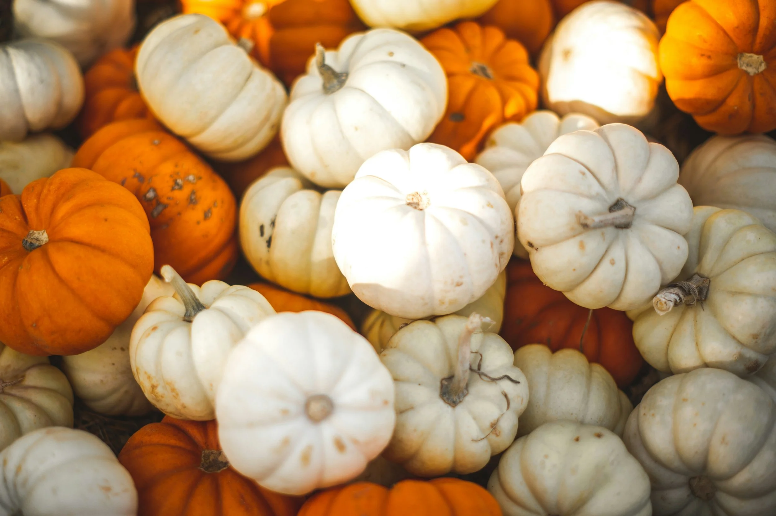 El otoño en Alemania: cómo los alimentos de temporada nutren tu microbioma