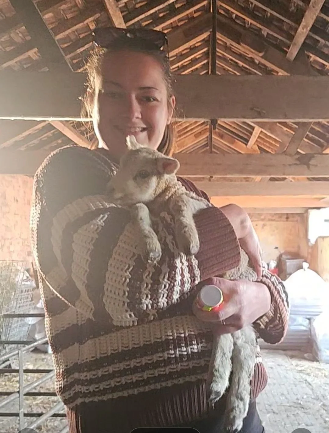 A woman holding a small, light-colored kitten inside a wooden barn with a high, sloped ceiling.