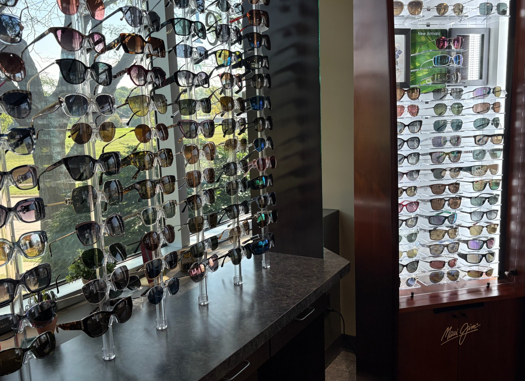 Display case with a large selection of sunglasses and glasses in a retail store, with a window showing trees outside.